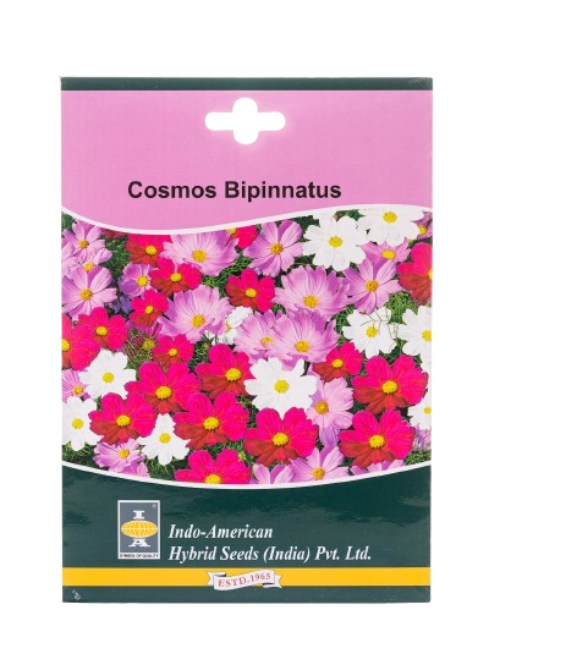 Cosmos Seeds